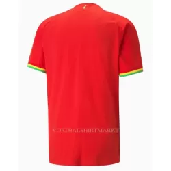 Ghana Shirt Heren Uit WK 2022
