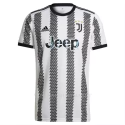 Juventus Chiesa 7 Shirt Heren Thuis 2022-23