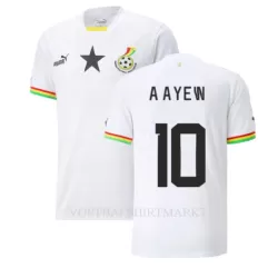 Ghana Andre Ayew 10 Shirt Heren Thuis WK 2022 Ghana Andre Ayew 10 Shirt Heren Thuis WK 2022