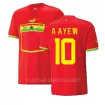 Ghana Andre Ayew 10 Shirt Heren Uit WK 2022