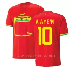 Ghana Andre Ayew 10 Shirt Heren Uit WK 2022 Ghana Andre Ayew 10 Shirt Heren Uit WK 2022