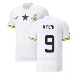Ghana Ayew 9 Shirt Heren Thuis Jordan WK 2022 Ghana Ayew 9 Shirt Heren Thuis Jordan WK 2022