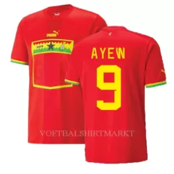 Ghana Ayew 9 Shirt Heren Uit Jordan WK 2022 Ghana Ayew 9 Shirt Heren Uit Jordan WK 2022
