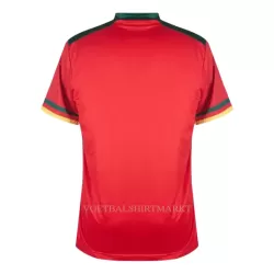 Kameroen Shirt Heren Derde WK 2022