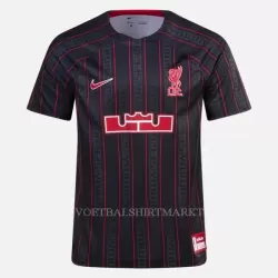Liverpool X Lebron James Nike Trainingsshirt 2023 Liverpool X Lebron James Nike Trainingsshirt 2023