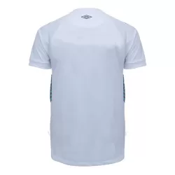 Gremio FBPA Shirt Heren Uit 2023/24