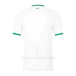 Ierland Shirt Heren Uit 2023