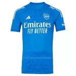 Arsenal Keeper Shirt Heren Uit 2023/24