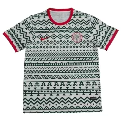 Nigeria Shirt Heren 2023/24 - Speciaal