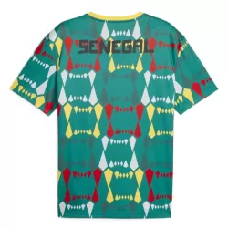 Senegal Shirt Heren Thuis 2023/24