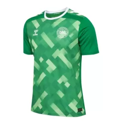 Denemarken Keeper Shirt Heren EK 2024 Groene Denemarken Keeper Shirt Heren EK 2024 Groene