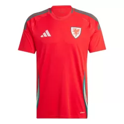 Wales Shirt Heren Thuis 2024 Wales Shirt Heren Thuis 2024