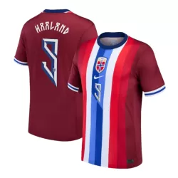 Noorwegen Haaland 9 Shirt Heren Thuis 2024 Noorwegen Haaland 9 Shirt Heren Thuis 2024