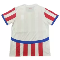 Paraguay Shirt Heren Thuis 2024