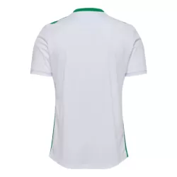 AS Saint-Etienne Shirt Heren Uit 2024/25