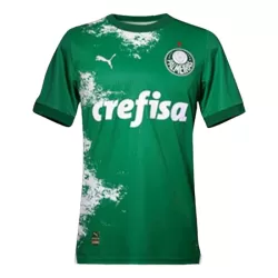 Palmeiras Shirt Heren 2024 Groene - Speciaal Palmeiras Shirt Heren 2024 Groene - Speciaal