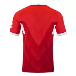 VfB Stuttgart Shirt Heren Uit 2024/25