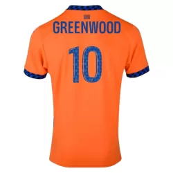 Olympique Marseille Greenwood 10 Shirt Heren Derde 2024/25