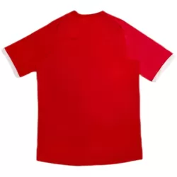 Engeland 2010 Shirt Heren Uit Retro