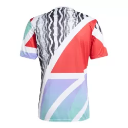 Arsenal Pre-Match Shirt Heren 2024/25