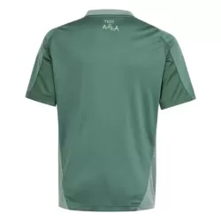 Nigeria Shirt Heren 2024 Groene - Speciaal