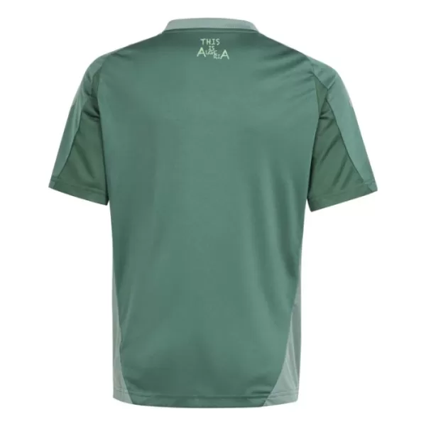 Nigeria Shirt Heren 2024 Groene - Speciaal