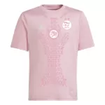 Nigeria Shirt Heren 2024 Roze - Speciaal