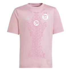 Nigeria Shirt Heren 2024 Roze - Speciaal