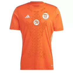 Nigeria Shirt Heren 2024 - Speciaal Nigeria Shirt Heren 2024 - Speciaal