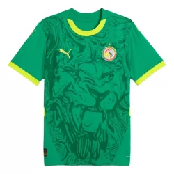 Senegal Shirt Heren Uit 2024/25