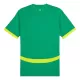 Senegal Shirt Heren Uit 2024/25