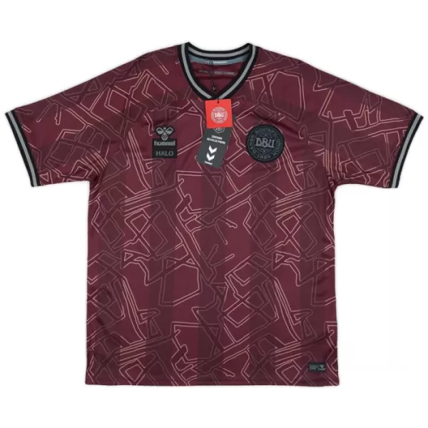 Denemarken Shirt Heren 2024/25 - Speciaal Denemarken Shirt Heren 2024/25 - Speciaal