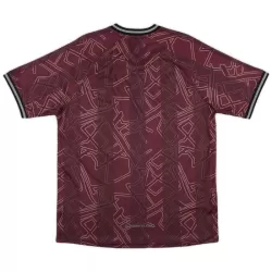 Denemarken Shirt Heren 2024/25 - Speciaal