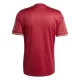FC Bayern München Shirt Heren Verjaardag 2024/25