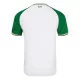 Ierland Shirt Heren Derde 2024/25