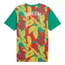 Senegal Pre-Match Shirt Heren 2024/25