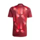 Duitsland Shirt Heren Uit 2025