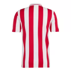 Olympiakos 100th Shirt Heren Verjaardag 2024/25