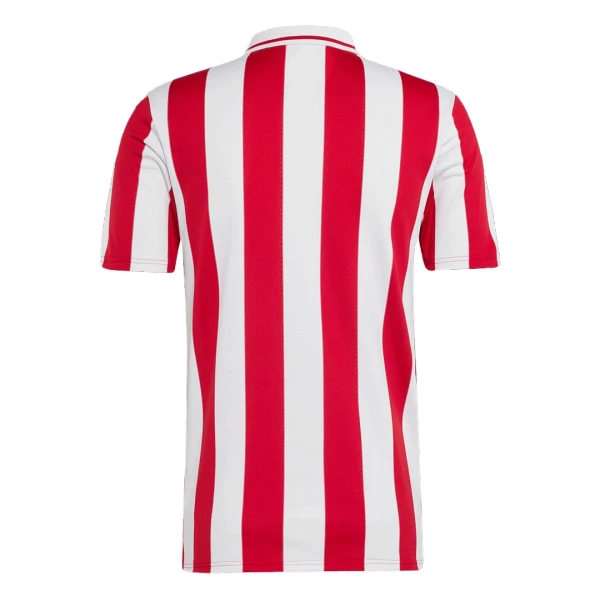 Olympiakos 100th Shirt Heren Verjaardag 2024/25