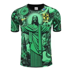 Brazilië Shirt Heren 2024/25 Groene - Speciaal Brazilië Shirt Heren 2024/25 Groene - Speciaal