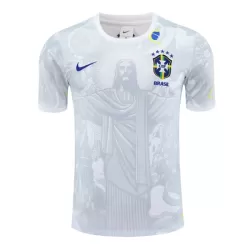 Brazilië Shirt Heren 2024/25 Witte - Speciaal Brazilië Shirt Heren 2024/25 Witte - Speciaal