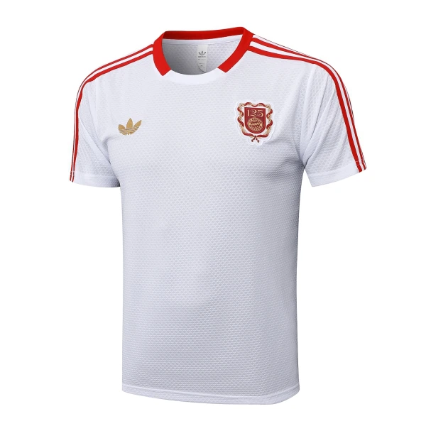 FC Bayern München Shirt Heren Verjaardag 2024/25