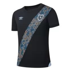 Guatemala Shirt Heren Derde 2025