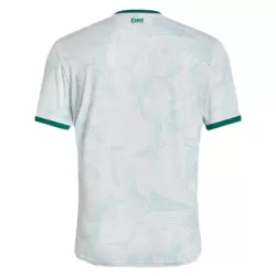 Ierland Shirt Heren Uit 2025/26