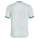 Ierland Shirt Heren Uit 2025/26