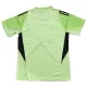 Newcastle United Keeper Shirt Heren 2025/26
