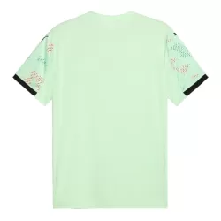 Portugal Shirt Heren Uit 2025