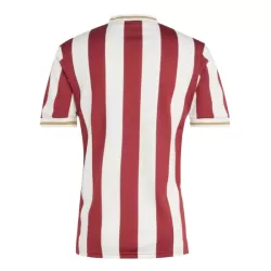 FC Nurnberg Shirt Heren Verjaardag 2024/25