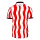 Stoke City Shirt Heren Thuis 2025/26