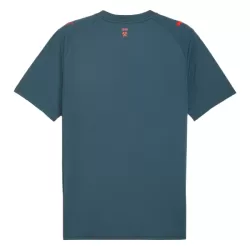 Shakhtar Donetsk Shirt Heren Uit 2025/26